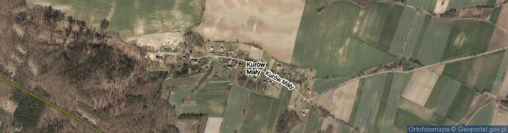 Zdjęcie satelitarne Kurów Mały ul.